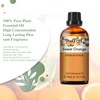 PHATOIL Essential Oil Orange 30ml Essential Oil Aroma Oil Present