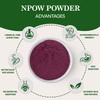 NPOW Resveratrol, Pure Grape Skin Powder