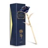 Ejoyous 24K Gold plated Romantic Rose Flower Valentine's Day Birthday