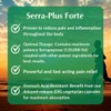 Serra Plus - Serrapeptase-based synergistic formula - by Provita Nutrition