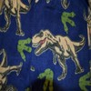 Centric Brands Boys Jurassic World T-Rex Fleece Pajama (8) Blue