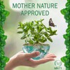 Minty Rodent Repellent, Natural 5% Peppermint Oil Spray for Mice,