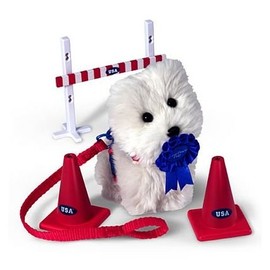 Coconut's Agility Set