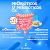 Inulina de Agave Organica 1 Kg | Fibra Prebiotica en
