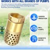 Brass Foot Valve 3/4 inch NPT Heavy Duty Spring Mesh