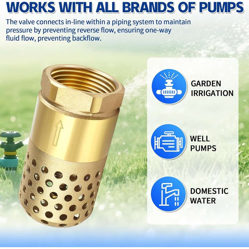 Brass Foot Valve 3/4 inch NPT Heavy Duty Spring Mesh