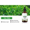 Tea Tree Essential Oil Deep Cleansing Skin Moisturizing Massage Oil