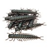 3" Floating Hellgrammite - Qty 10/Pack (Chameleon)