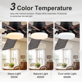 BOOMJOY Ceiling Fans with Lights, 52 Inch Ceiling Fan with Remote, Modern Ceiling Fan for Bedroom Living Room, Black Ceiling Fan Lights for Outdoor Indoor and 5 Blades Quiet Reversible DC