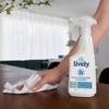 Lively Multi-Purpose Cleaner Bundle (2 Pack), Fragrance-Free, Biodegradable Formula