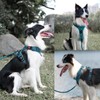 PoyPet No Pull Dog Harness and 5 Feet Leash Set,