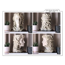 ARCPHIL Medusa Head Planter White Face Vase for Décor Indoor Plant Pot with Drainage Hole Flower Pot Outdoor Large