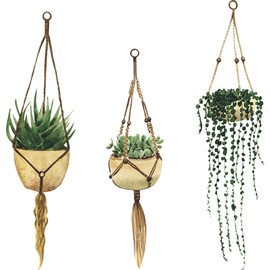 duoyif Wall Tattoo Plants Tropical Wall Sticker Flower Pot Wall Sticker Hanging Plants Wall Stickers Living Room Bedroom Children's Room Kitchen Office Hallway Wall Decoration