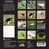 MICASA Pooping Puppies 2025 Wall Calendar 12 Month | 12"