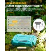RAINPOINT Irrigation Computer WLAN 2.4GHz with Brass Inlet, Automatic Garden