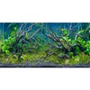 AWERT 72x18 inches Tropical Fish Tank Background River Bed &