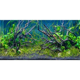 AWERT 72x18 inches Tropical Fish Tank Background River Bed & Lake Aquatic Plant Undersea Tree Branch Aquarium Background Vinyl