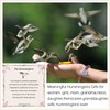 LINY Amethyst Hummingbird Bracelets Unique Hummingbird Gifts for Women with