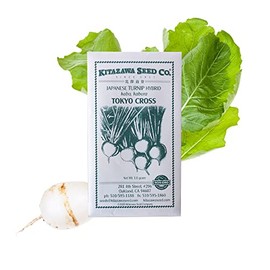 Turnip Seeds - Tokyo Cross - Hybrid -1 g Packet ~324 Seeds - Non-GMO, F1 Hybrid - Asian Garden Vegetable