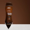 Jayli Champú Tonificador Matizador Castaño, 440 ml(el empaque puede diferir)