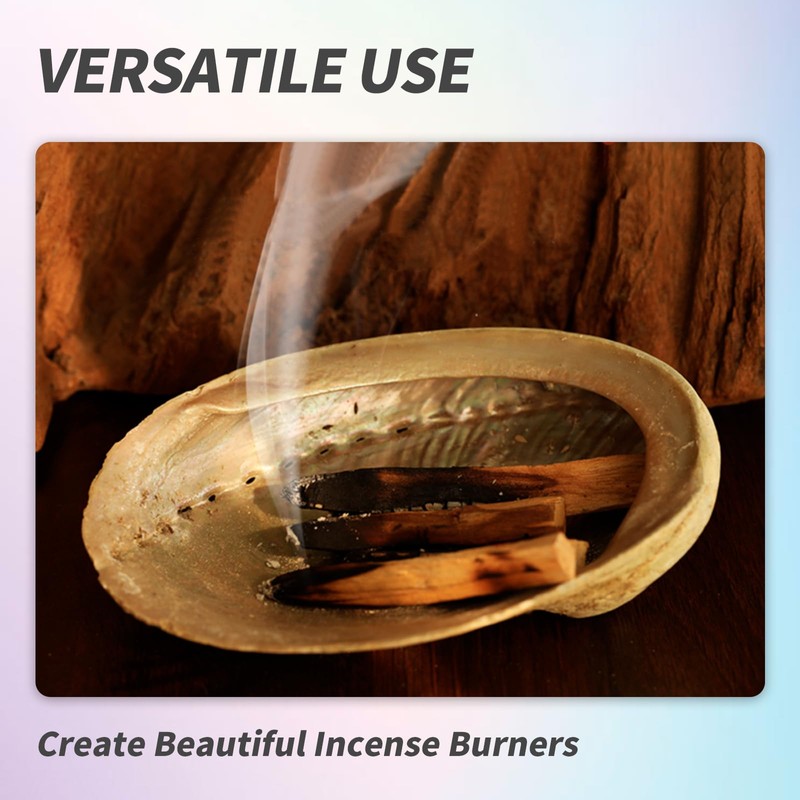 BRBASAP Large Abalone Shell Bowl 4-4.5 Inch Natural Smudge Bowl