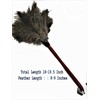 18" Feather Duster Wooden Handle | Natural for Cleaning and