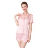 LEPTON 100% Mulberry Silk Short Sleeve Pajama Set (as1, alpha,