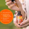 Zenith Labs Liquid Vitamin C Drops for Adults - Nano