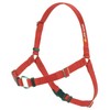 Sense-ible No-Pull Dog Harness - Red Medium/Large (Narrow)