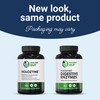 Healthy Gut HoloZyme Max Strength Digestive Enzymes | Inulinase, Amyloglucosidase