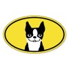 CafePress Boston Terrier Smile Oval Car Bumper Sticker