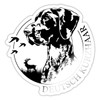 Spreadshirt German Shorthair Hunting Dogs Portrait Dog Sticker, 10 x