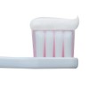 Dent Health [Quasi-Drug] Medicated Toothpaste for Preventing Pyorrhea, Sensitivity Block