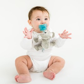 Queebi PaciBuddy Koala Pacifier Holder - Plush Toy with Detachable Pacifier & Universal Adapter, Gender Neutral Baby Gift for 0+ months - Infant Plush Baby Toy, Versatile Baby Essentials, Binky