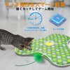 Cat, Electric Toy, Automatic Cat Toy, For Single Play, Multiple