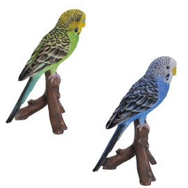 Green Budgerigar