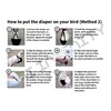 Chicken Diapers for Hens, Roosters - Disposable Lining, Reusable, Adjustable,