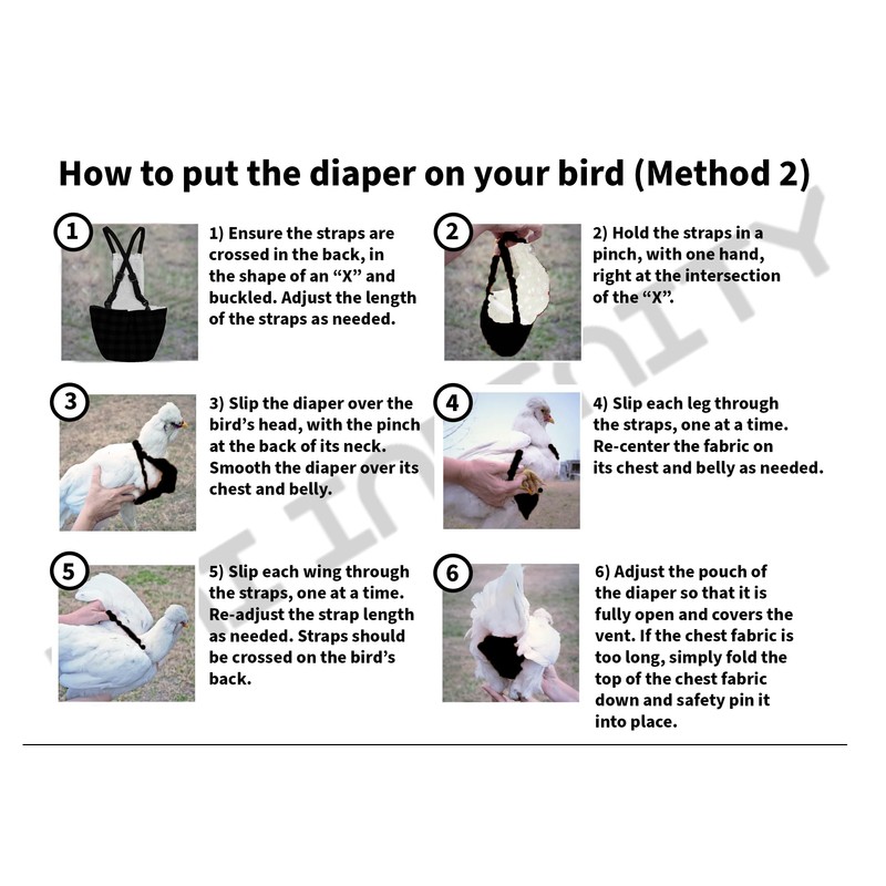 Chicken Diapers for Hens, Roosters - Disposable Lining, Reusable, Adjustable,