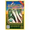 Everwilde Farms - 500 Organic Lunar White Carrot Seeds - Gold Vault Packet