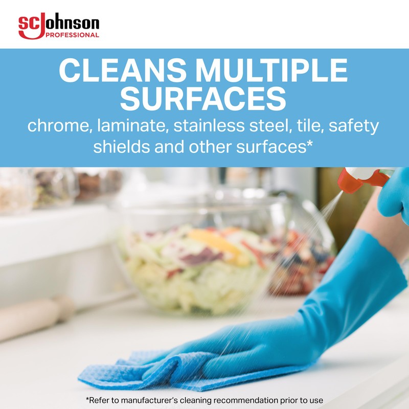 SC Johnson Professional Windex Glass and More Multi-Surface Cleaner, Windex