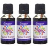 Flavour Factory Ginger, Extra Strong Food Flvouring Concentrates 85.5ml (Pack
