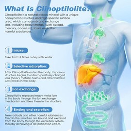 Adult Zeolite Detox Liquid Drops – Clinoptilolite Zeolite with Vitamins B12 & D3, Milk Thistle, Dandelion, Artichoke, Angelica & Chanca Piedra, 2 Fl Oz