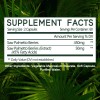 KENOFOR Saw Palmetto 500mg Prostate Supplement Urinary Support - 120
