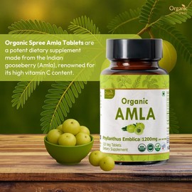 Organic Spree Amla 120 Tablets | Indian Gooseberry (Amalaki) | USDA Organic Certified | Organic and Natural 120tab (120 Count (Pack of 2))