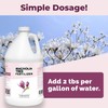 Magnolia Tree Fertilizer, Complete Liquid Magnolia Tree Plant Food, 1
