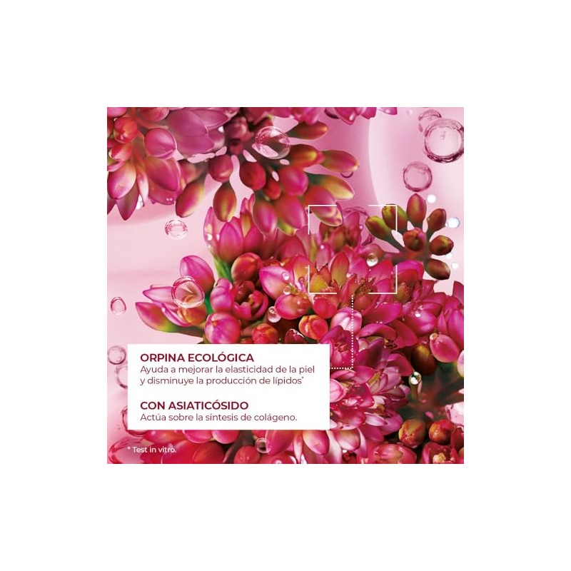Yves Rocher Gel Corporal Anticelultico, con Orpina Ecolgica y Cafena,