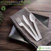 100% Compostable Spoons - 500 Large Disposable Utensils (6.5 in.)