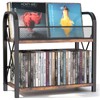 CILXGQLN 2-Tier CD Storage, Wood CD Holder, Compact CD Organizer