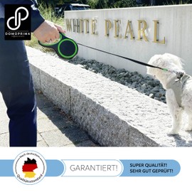 DOMOPRIMA Flexible Dog Lead in 3 Sizes (S,M,L) and 4 Colours (Grey, Blue, Green, Pink) - Robust and Safe Flexible Lead for Your Four-Legged Friend (Green, M)