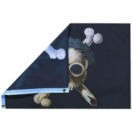 17th Century Plague Pirate Black 100D Premium Quality Heavy Duty Fade Resistant Woven Poly Nylon 2x3 2'x3' Flag Banner Grommets